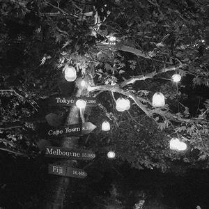 九九精品超级碰视频
